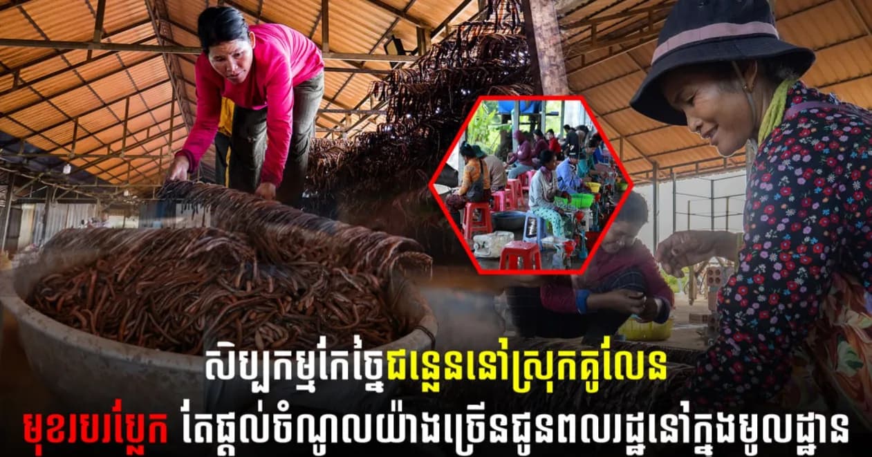 បទយកការណ៍៖ សិប្បកម្មកែច្នៃជន្លេននៅស្រុកគូលែន មុខរបរប្លែក តែផ្ដល់ចំណូលយ៉ាងច្រើនជូនពលរដ្ឋនៅក្នុងមូលដ្ឋាន