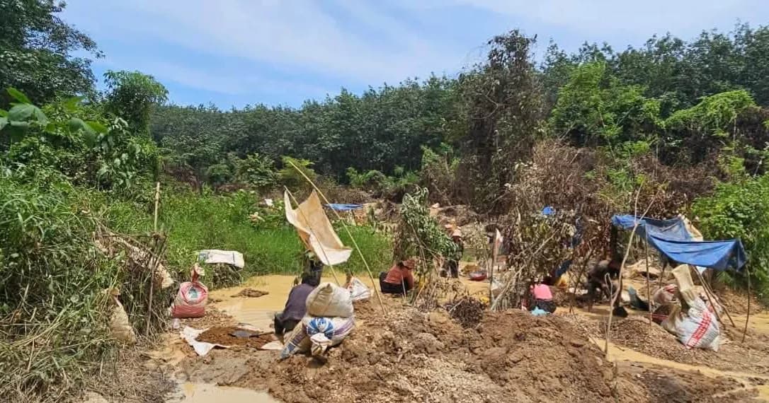 សេចក្តីប្រកាសព័ត៌មាន ស្តីពីការលួចប្រព្រឹត្តិបទល្មើសធនធានធម្មជាតិ(រ៉ែ)ដោយខុសច្បាប់ នៅតំបន់ភ្នំងោក និងនៅតាមដងទន្លេសេសាន (ស្រុកអណ្តូងមាស) នៅក្នុងដែនជម្រកសត្វព្រៃលំផាត់(ស្រុកលំផាត់) និងតំបន់ផ្សេងៗទៀតក្នុងភូមិសាស្ត្រខេត្តរតនគិរី